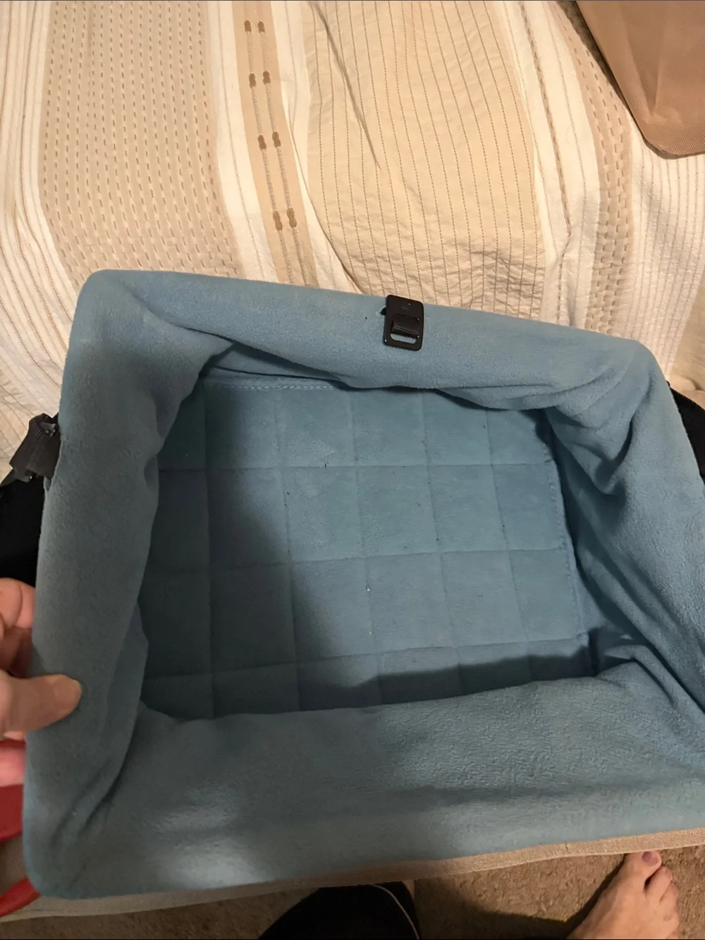 Kurgo Black Beige and Blue Pet Travel Seat